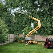  Portage, PA Tree Services Pros